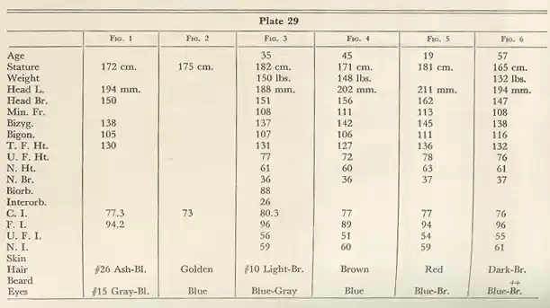 Plate 29